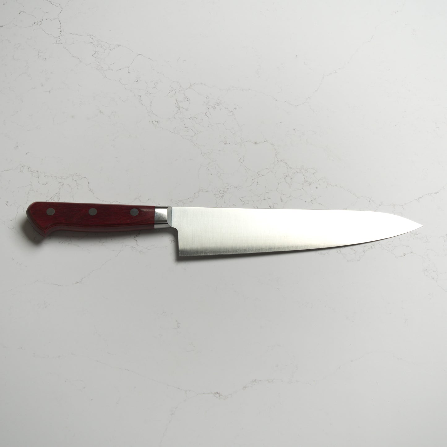 Takamura Migaki SG2 Gyuto 210mm