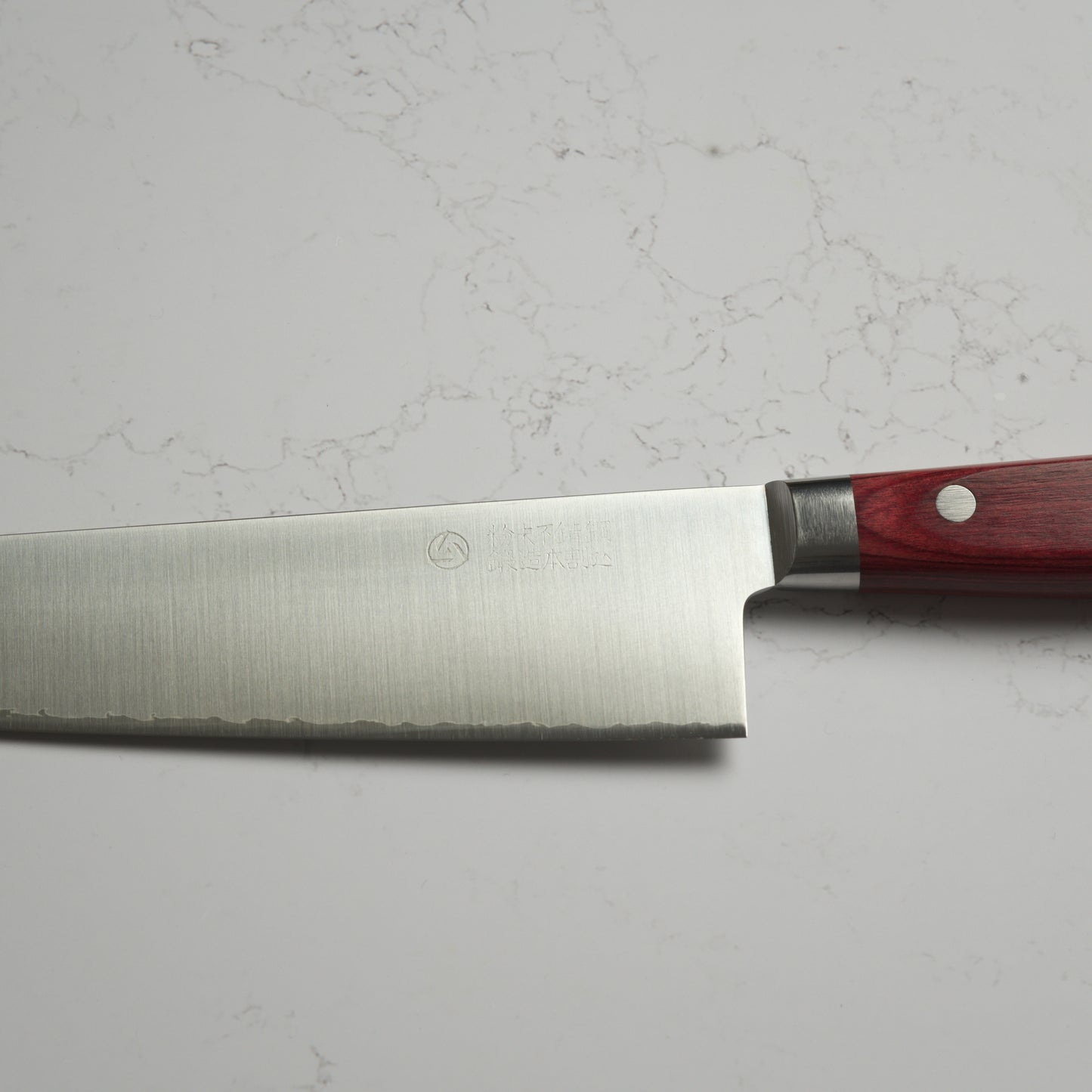 Takamura Migaki SG2 Gyuto 210mm
