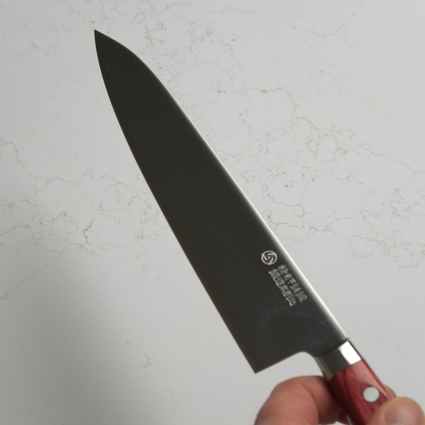 Takamura Migaki SG2 Gyuto 210mm