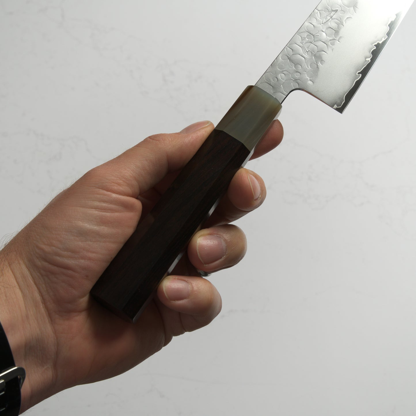 Hado Shiosai SG2 Gyuto 210mm