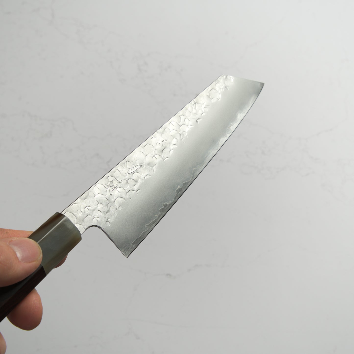 Hado Shiosai SG2 Gyuto 210mm