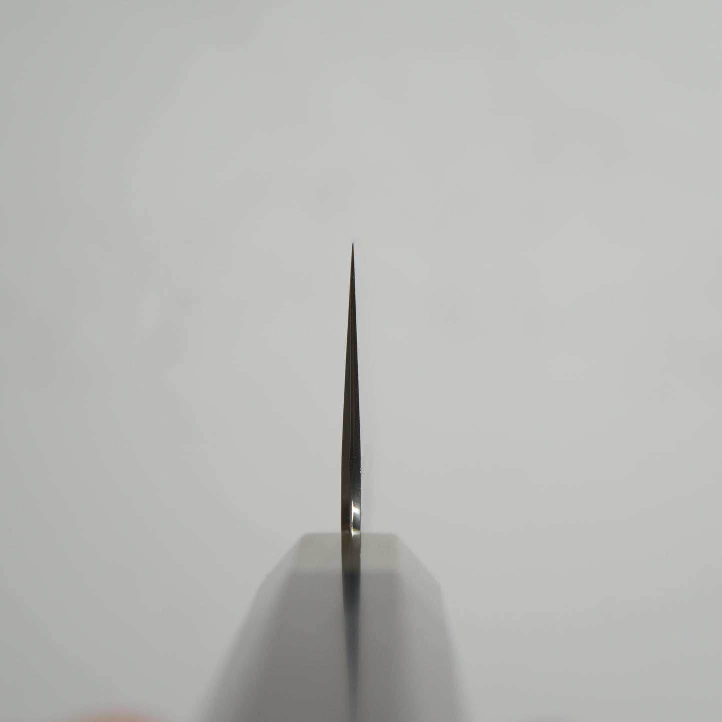 Hado Shiosai SG2 Gyuto 210mm