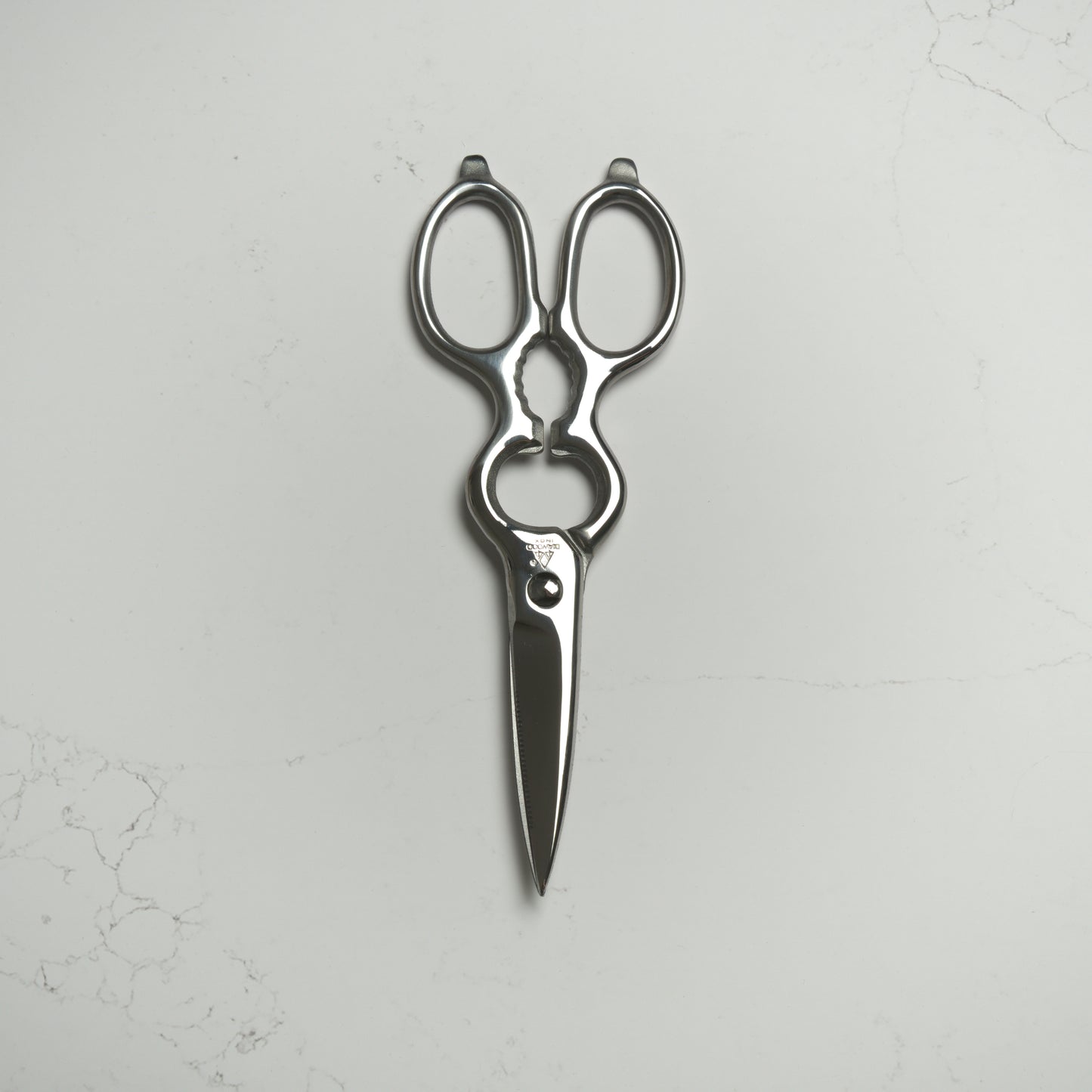 Forged Kitchen Scissors