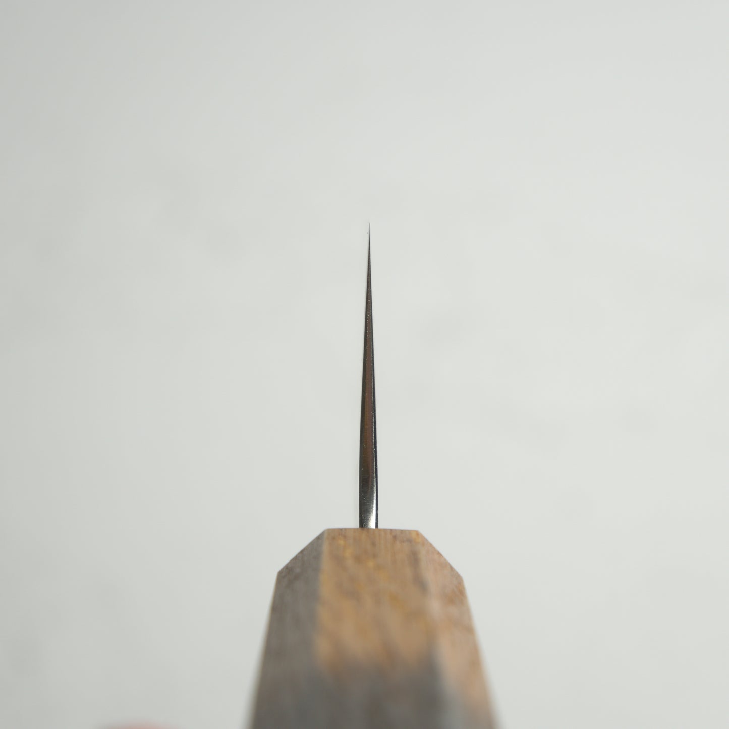 OUL Nashiji Ginsan Gyuto 210 - Burnt Oak Handle