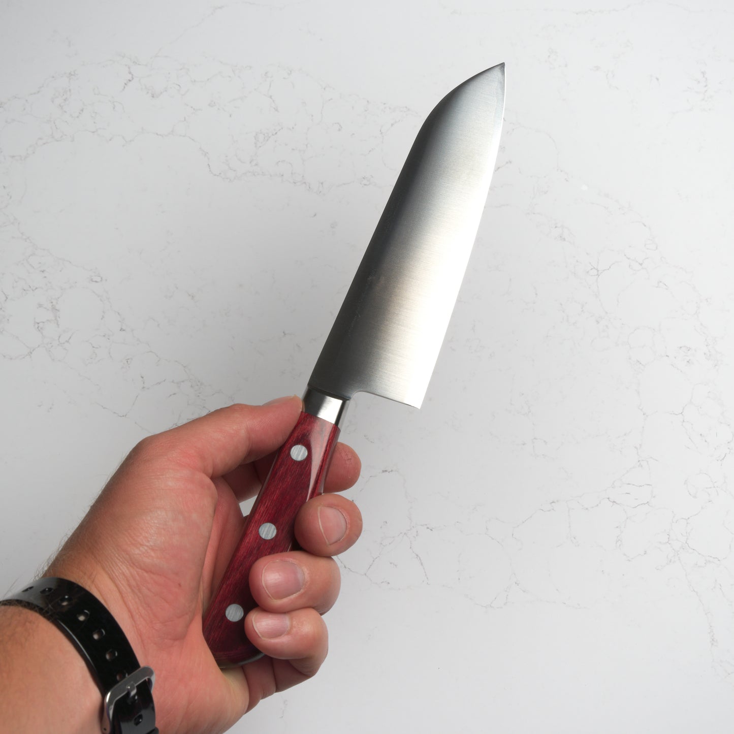 Takamura Migaki SG2 Santoku 170mm