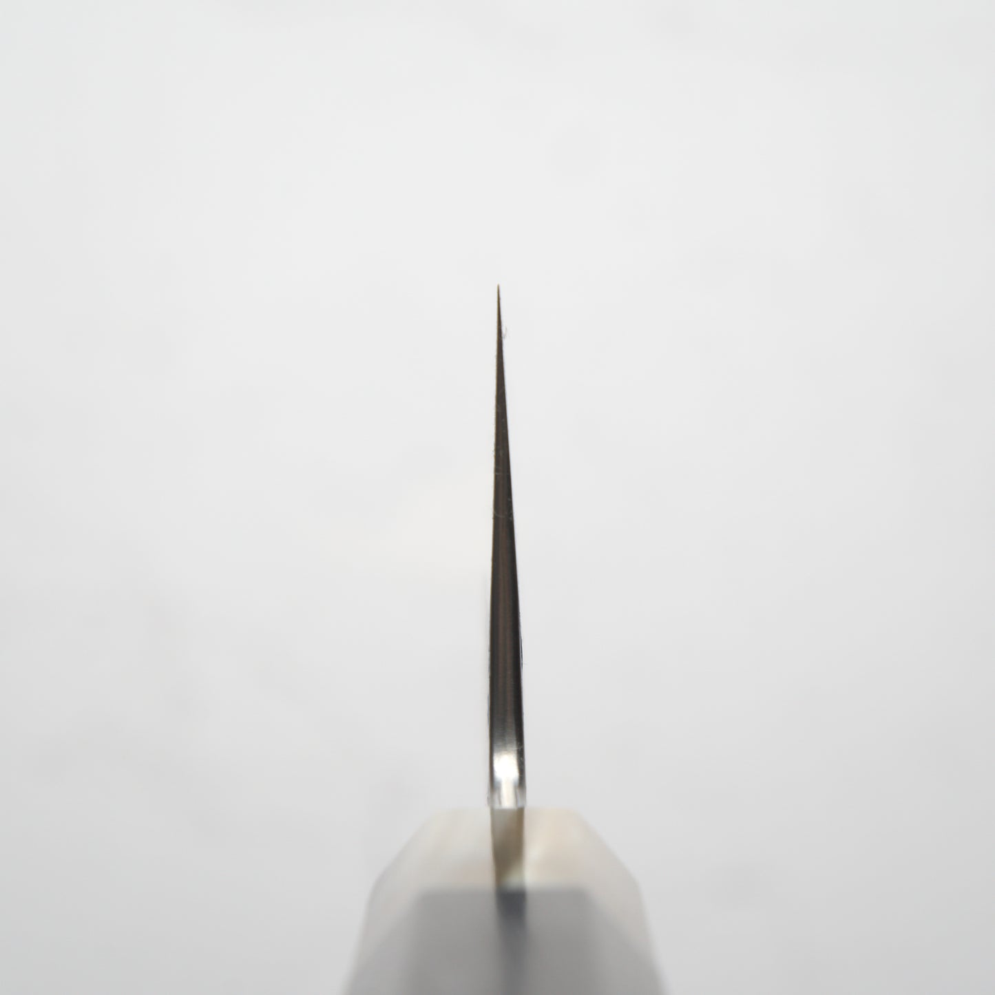 Satoshi Nakagawa Ginsan Tsuchime Gyuto 240mm - Ebony & Blonde