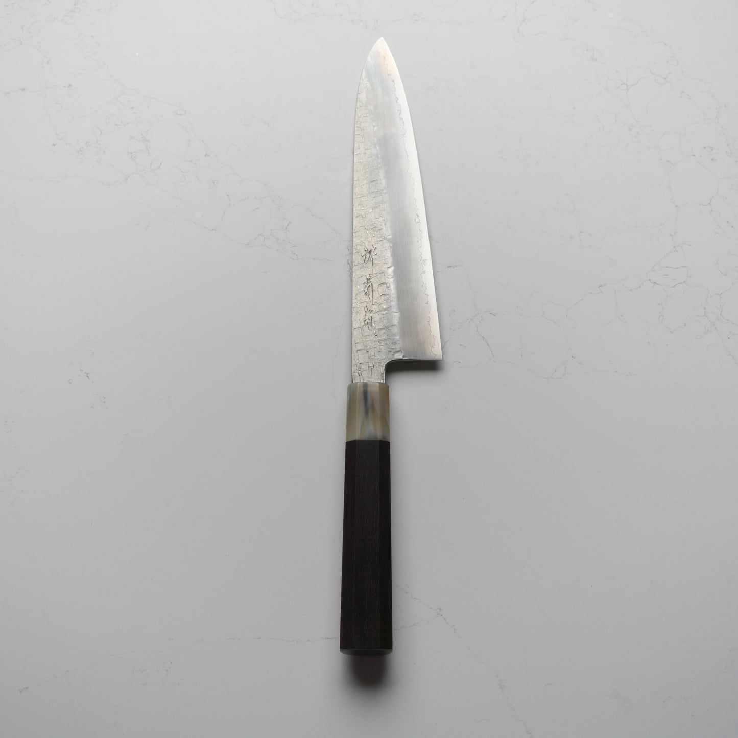 Satoshi Nakagawa Ginsan Tsuchime Gyuto 210mm - Ebony & Blonde