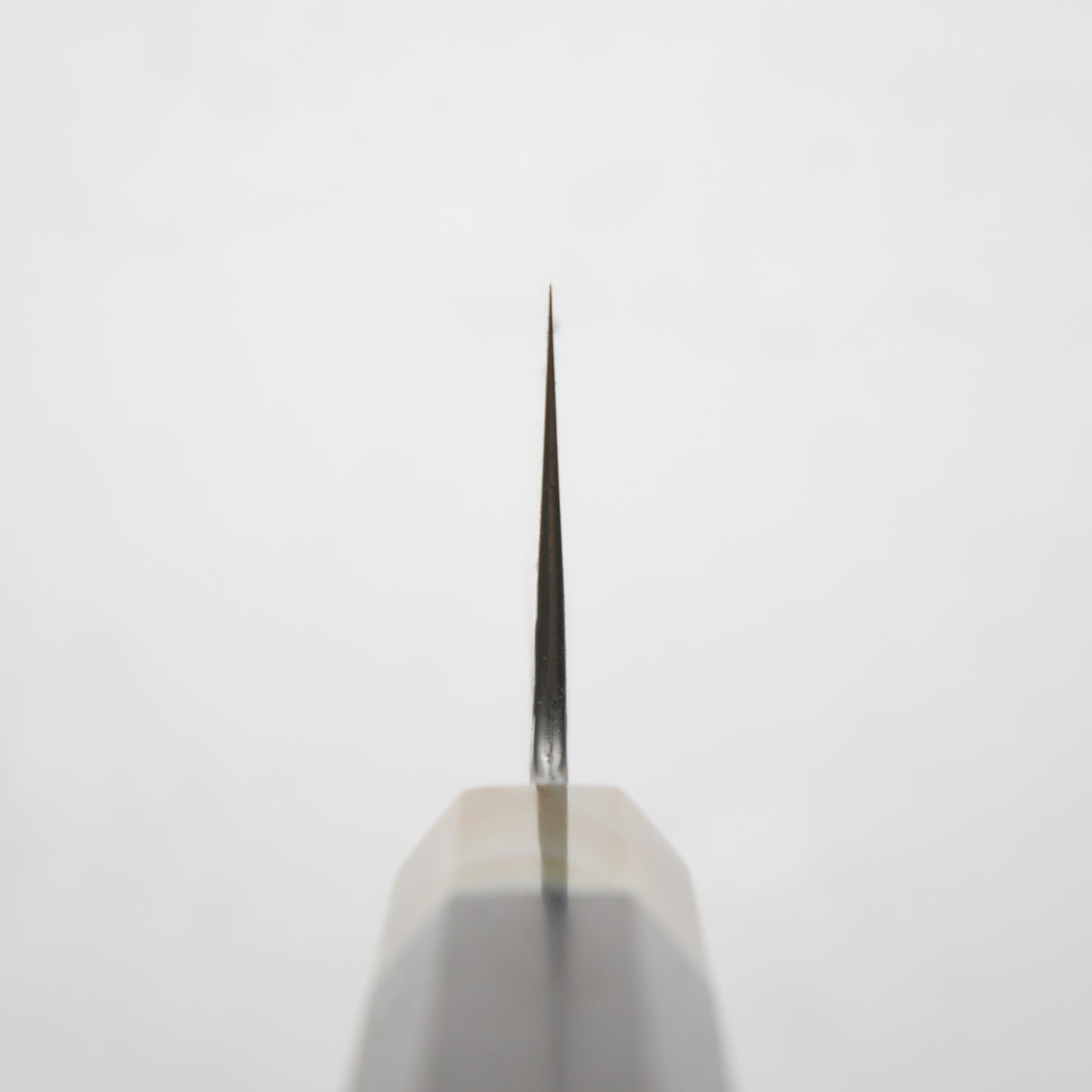 Satoshi Nakagawa Ginsan Tsuchime Gyuto 210mm - Ebony & Blonde