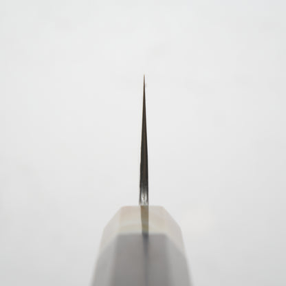 Satoshi Nakagawa Ginsan Tsuchime Gyuto 210mm - Ebony & Blonde