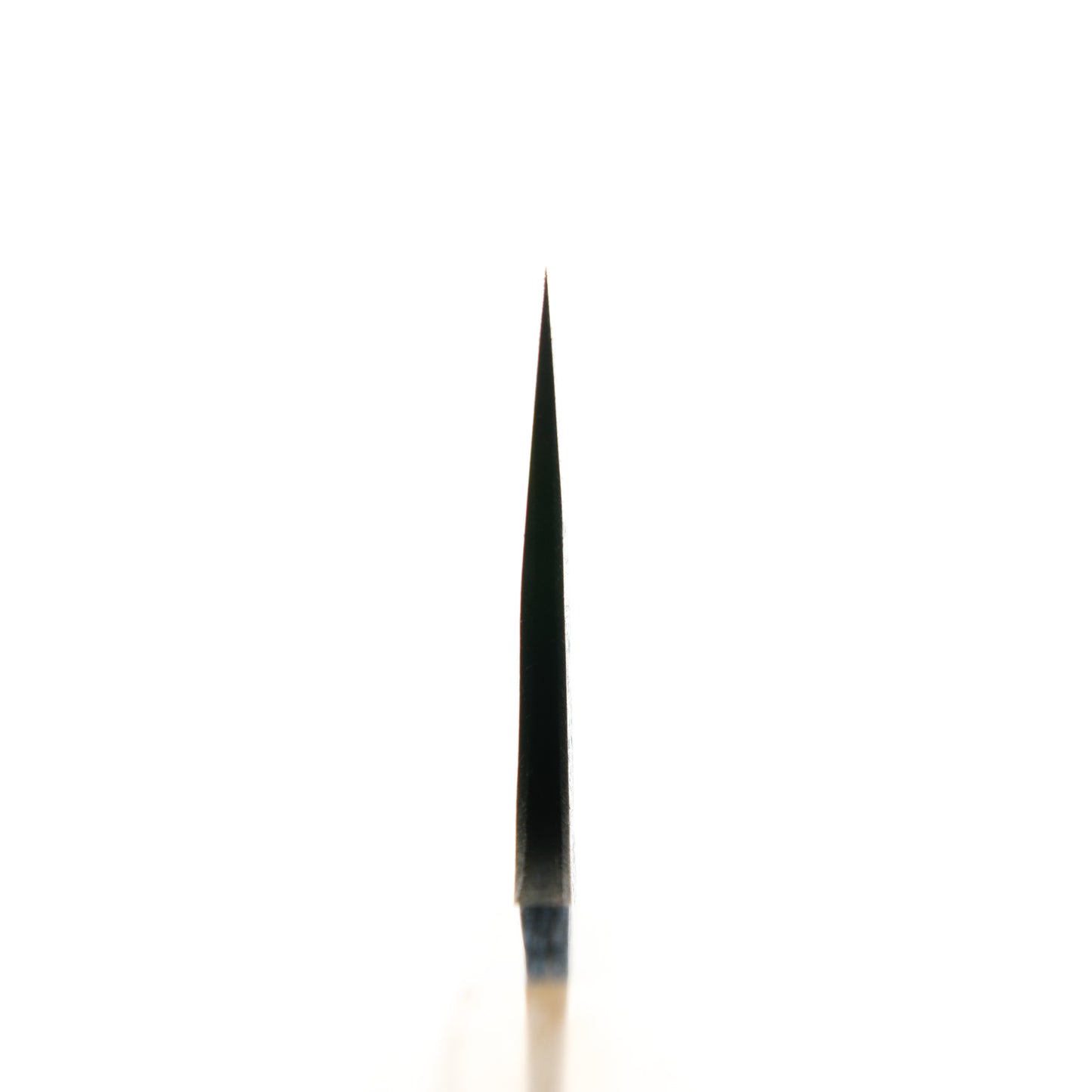 Morihei Hisamoto White #2 Kurouchi Tall Gyuto 240mm - Keyaki Zelkova
