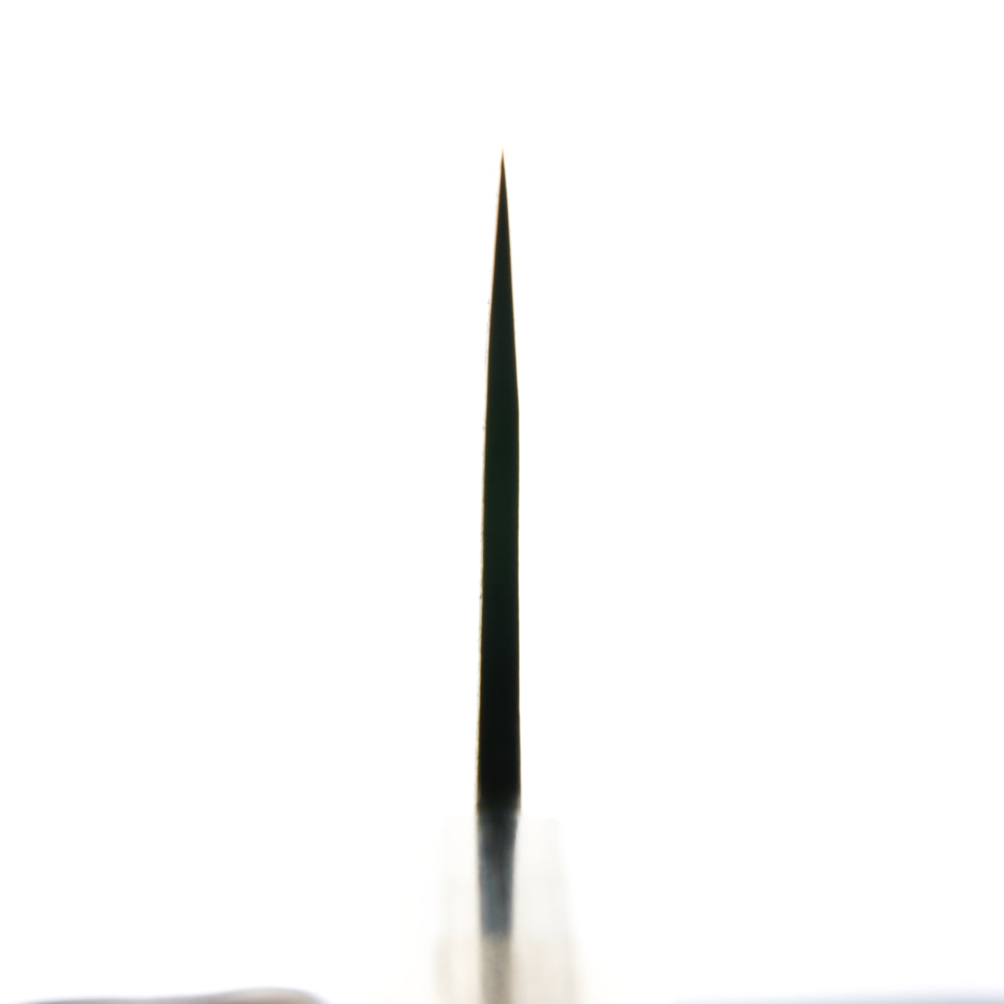 Morihei Hisamoto White #2 Kurouchi Extra Tall Gyuto 210mm - Keyaki Zelkova