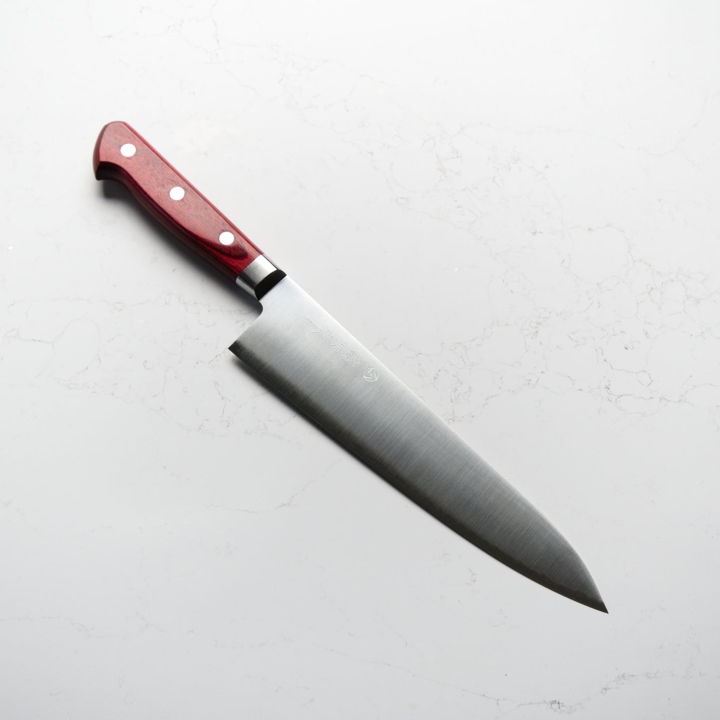 Takamura Migaki SG2 Gyuto 210mm