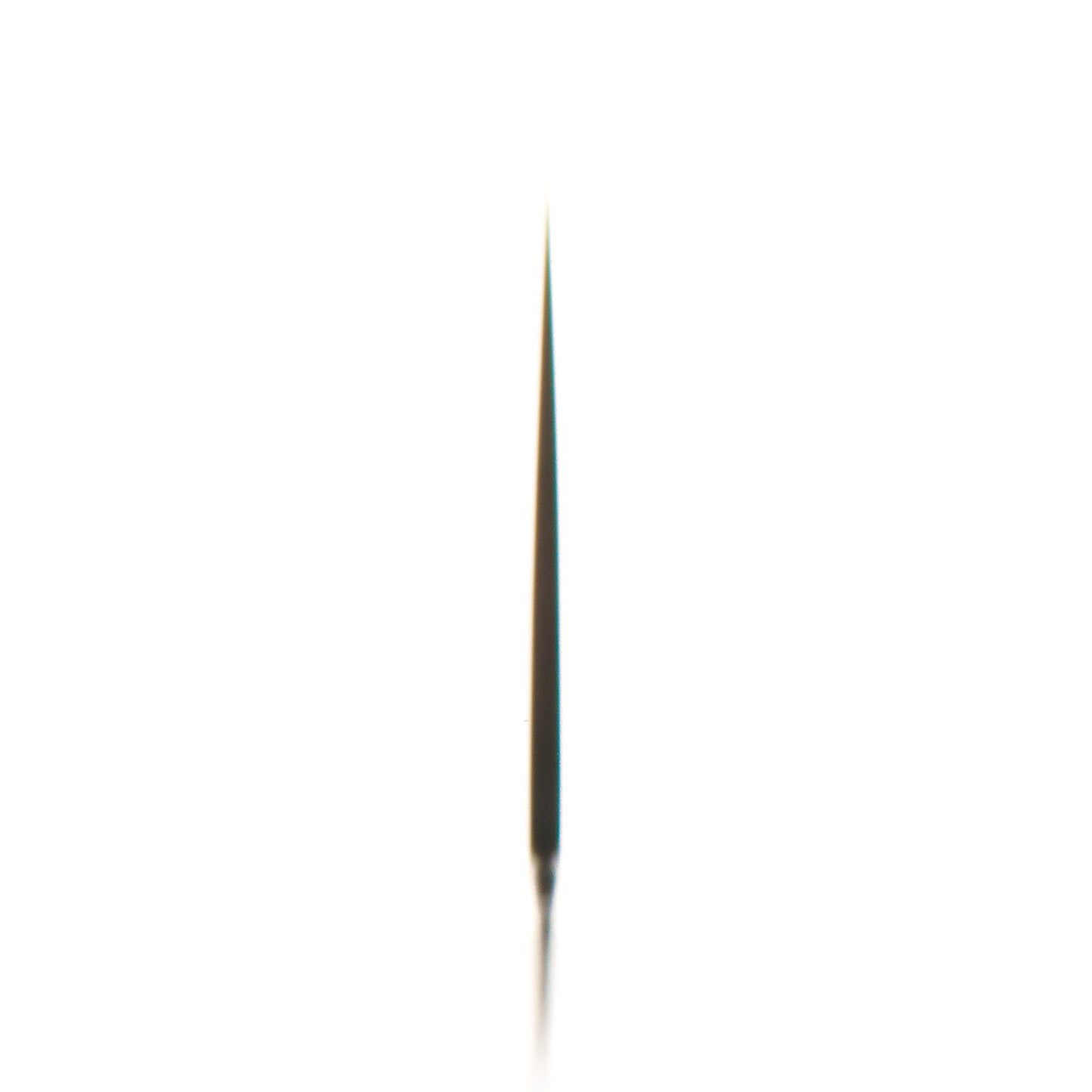 Takamura Migaki SG2 Gyuto 210mm