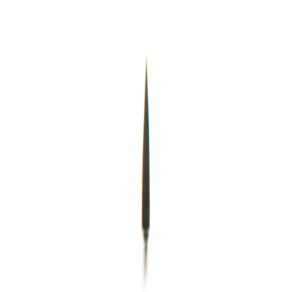 Takamura Migaki SG2 Gyuto 210mm