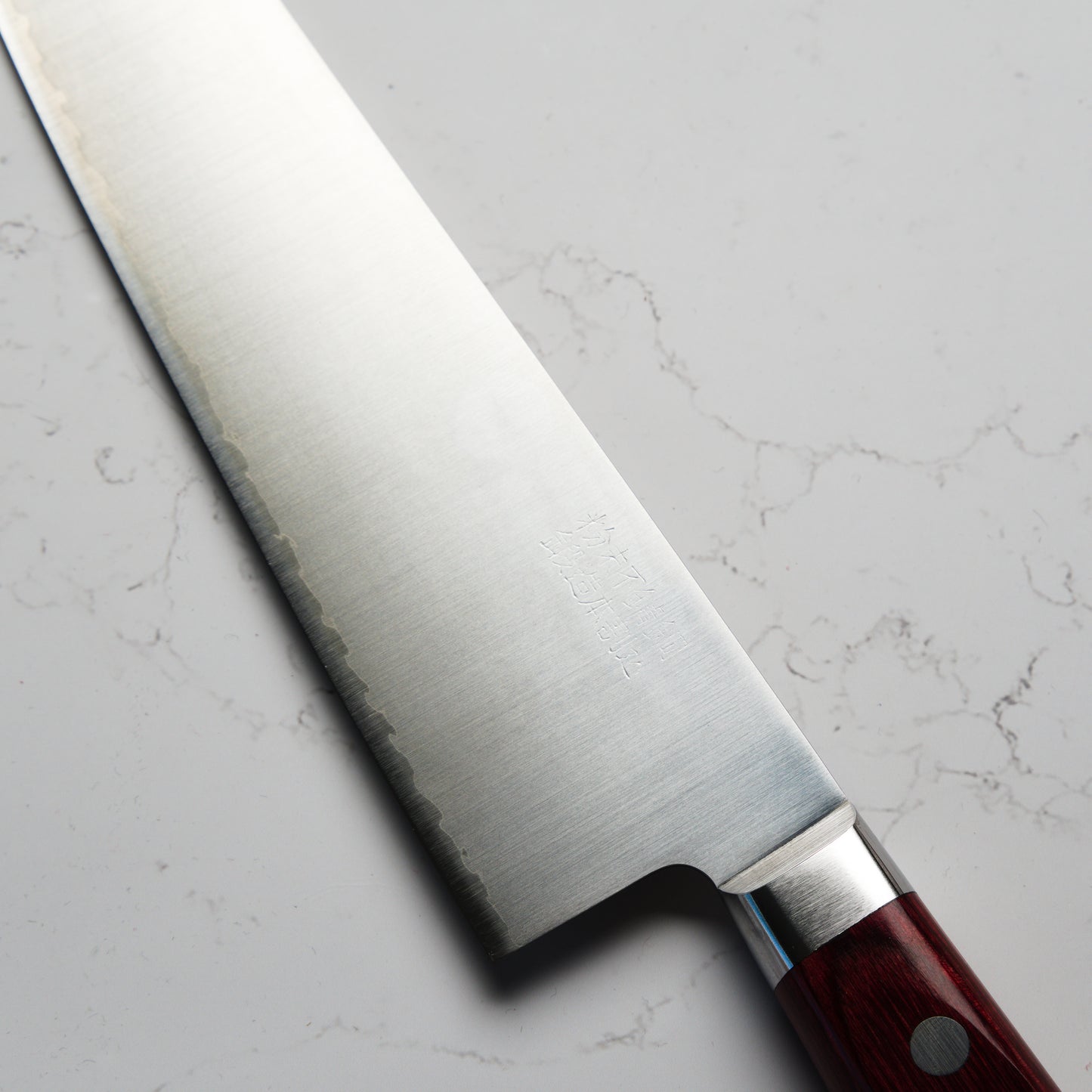 Takamura Migaki SG2 Gyuto 210mm