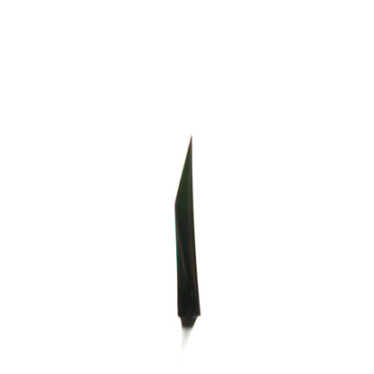 Sakai Kikumori Shironiko Deba 165mm - Magnolia and Black Horn