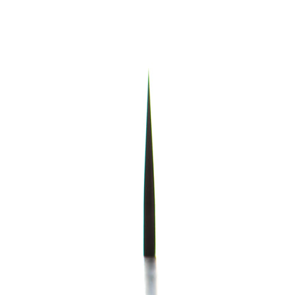 Tsunehisa Ginsan Nashiji Gyuto 210mm - Ebony
