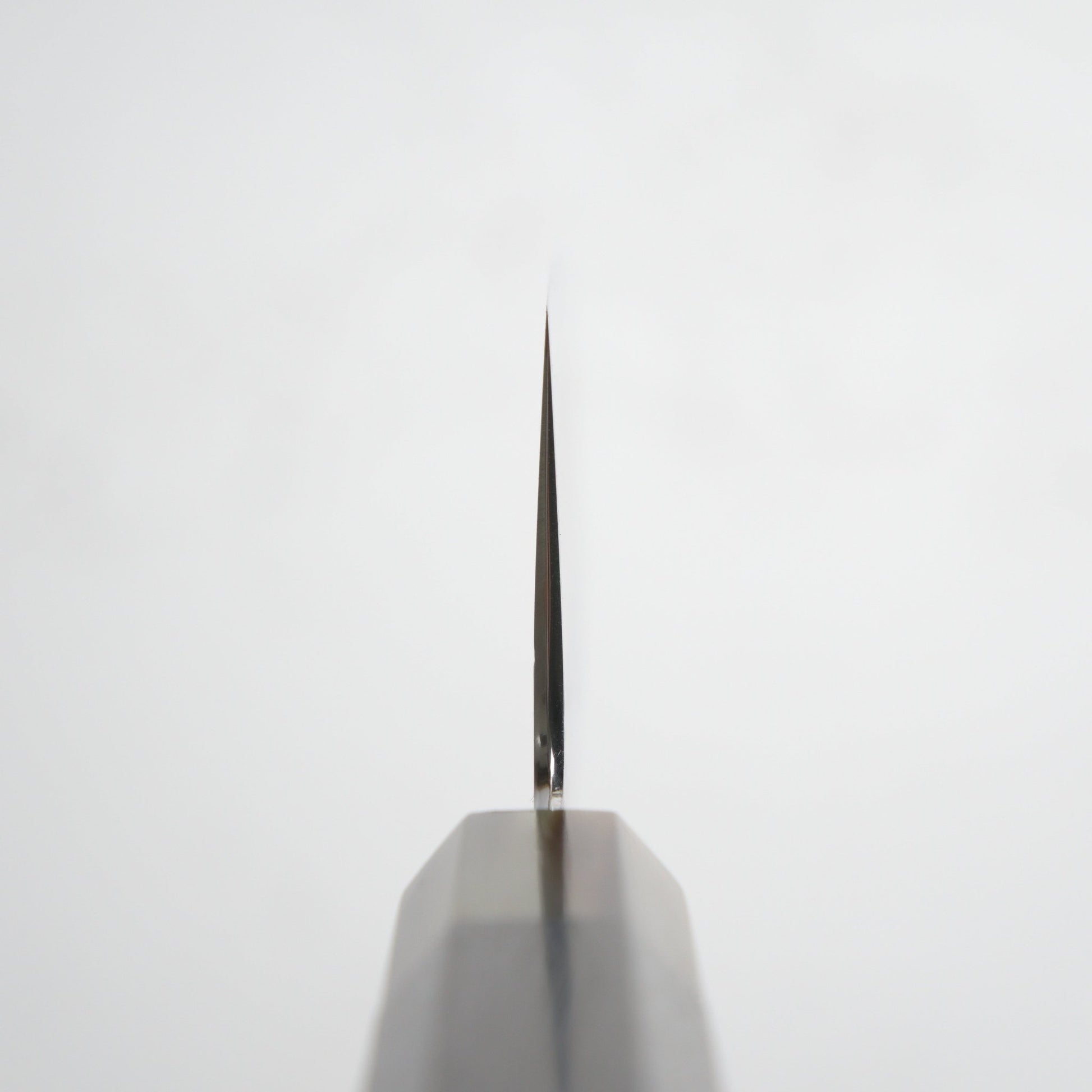 Hado Shiosai SG2 Bunka 180mm - Blade & Board