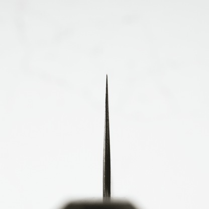 OUL Black Nashiji Aogami Super Gyuto 240 - Blade & Board