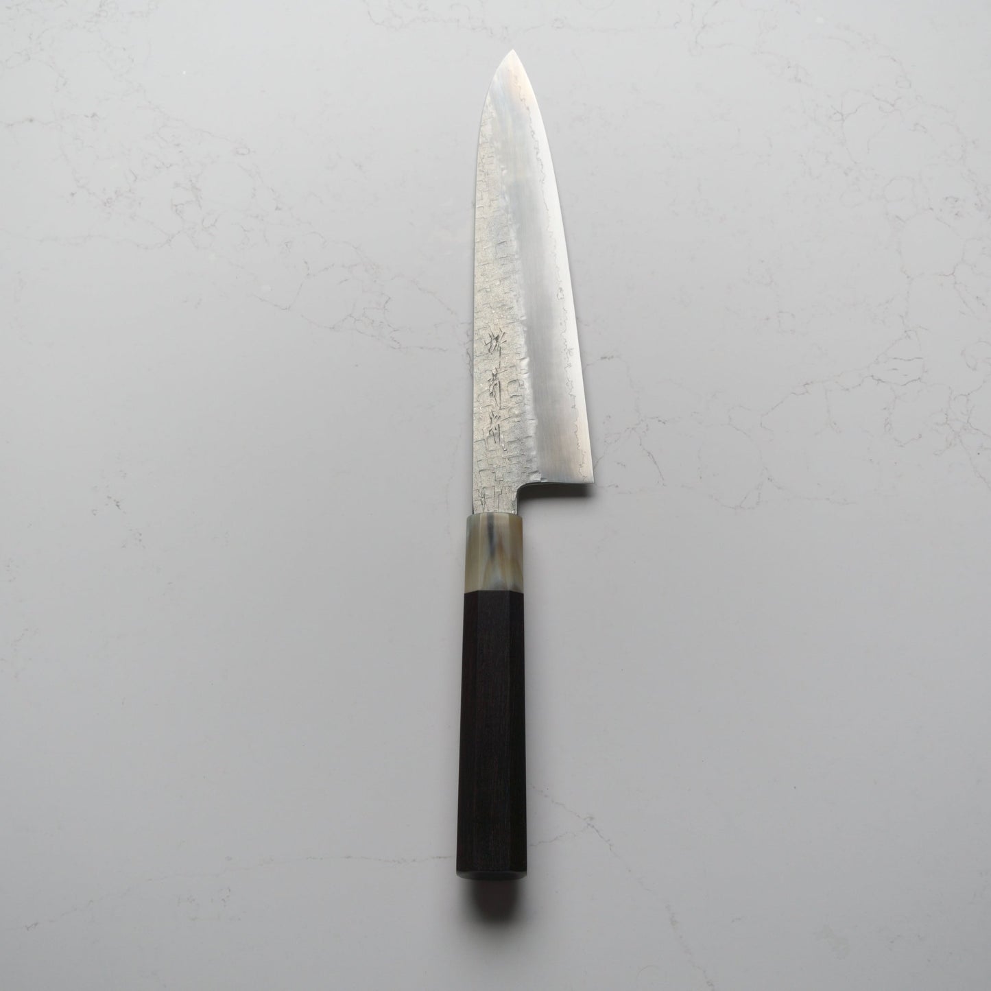 Satoshi Nakagawa Ginsan Tsuchime Gyuto 210mm - Ebony & Blonde - Blade & Board