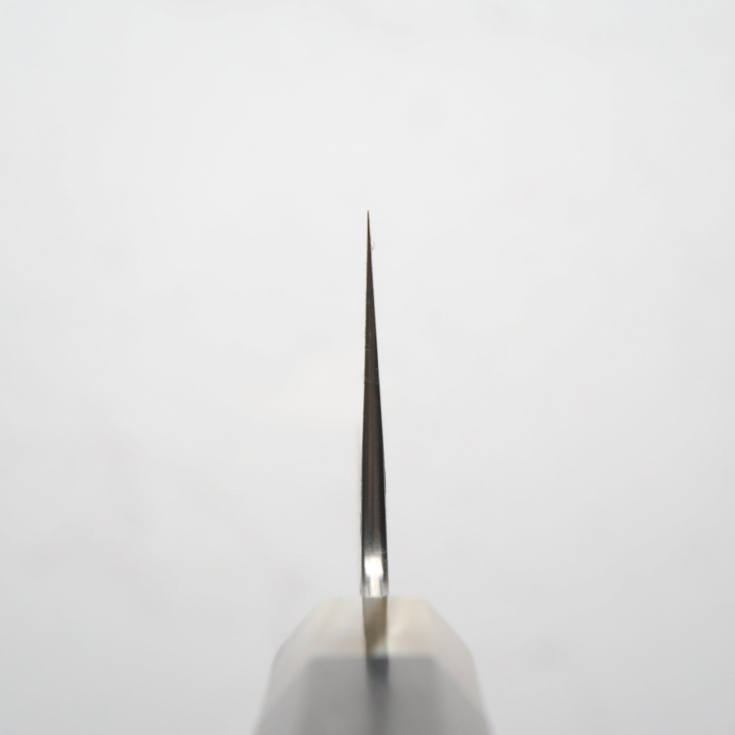 Satoshi Nakagawa Ginsan Tsuchime Gyuto 240mm - Ebony & Blonde - Blade & Board