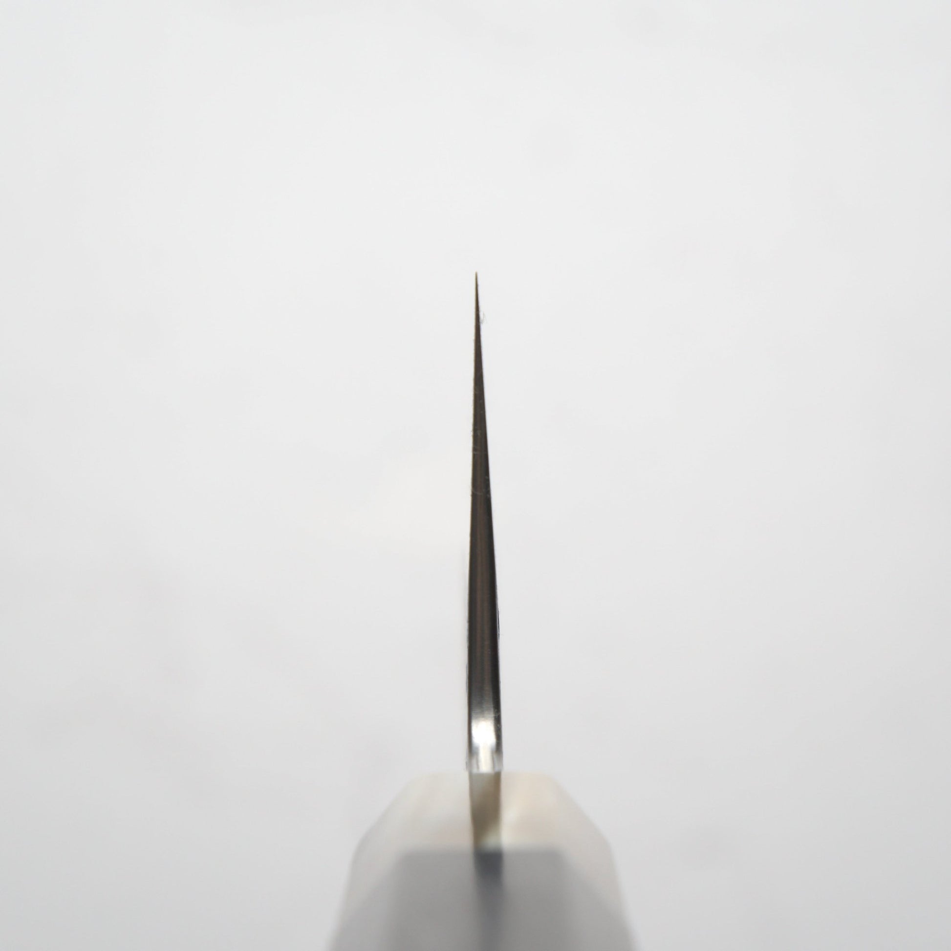 Satoshi Nakagawa Ginsan Tsuchime Gyuto 240mm - Ebony & Blonde - Blade & Board